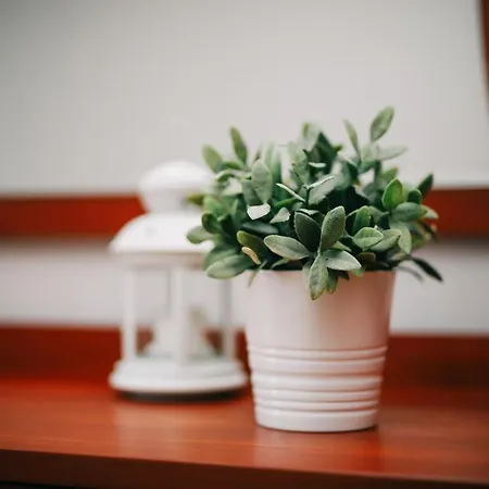 Promenada - Aquarius Lejlighed